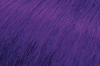 Matrix Socolor Cult Royal Purple - Краситель прямого действия Королевский фиолетовый 118 мл - вид 1 миниатюра