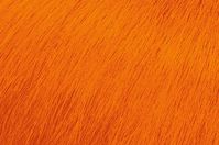 Matrix Socolor Cult Orange Alert - Краситель прямого действия Свежевыжатый оранжевый 118 мл - вид 2 миниатюра