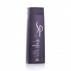 Wella SP Refresh Shampoo - Шампунь освежающий, для мужчин 250мл - вид 1 миниатюра